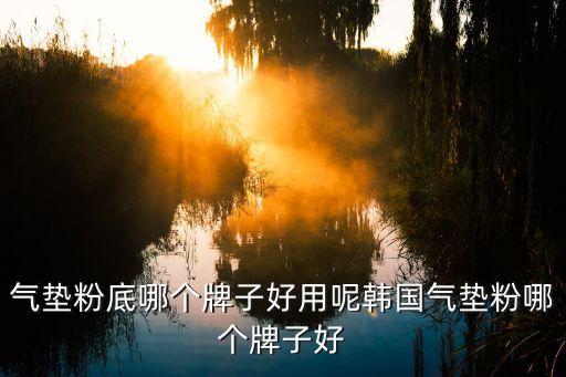 韩国什么气垫cc霜好用,什么气垫cc霜好用?