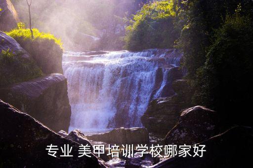 专业 美甲培训学校哪家好