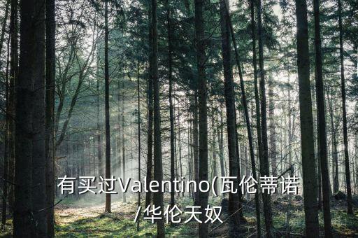 有买过Valentino(瓦伦蒂诺/华伦天奴