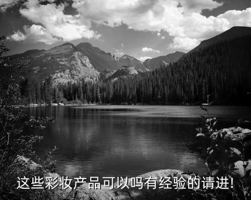 这些彩妆产品可以吗有经验的请进!