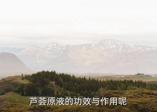 芦荟原液是什么,芦荟原液怎么用?可以直接涂脸吗?