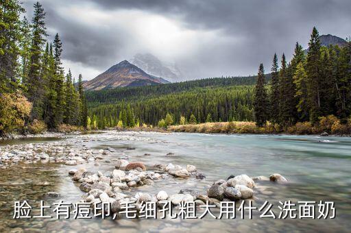 脸上有痘印,毛细孔粗大用什么洗面奶