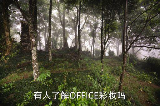 有人了解OFFICE彩妆吗