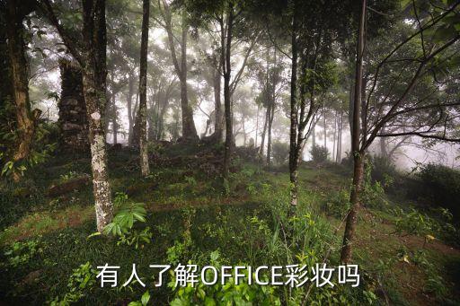 office这款化妆品如何,有人了解办公室化妆吗？