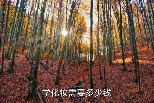 学化妆需要多少钱