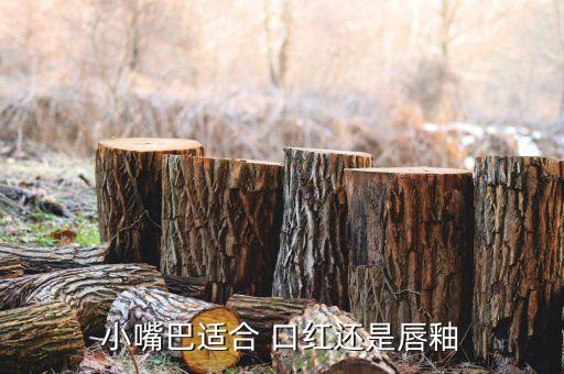小嘴巴适合 口红还是唇釉