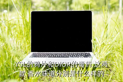 YSL的鸦片和DIOR的毒药,这两款 香水味道分别是什么样的