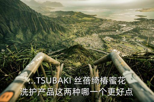 资生堂丝蓓绮哪个好,丝蓓绮和资生堂哪个洗发水好
