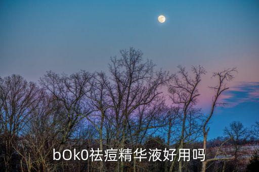 bOk0祛痘精华液好用吗