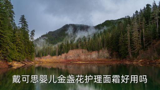 戴可思婴儿金盏花护理面霜好用吗