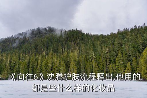 《向往6》沈腾护肤流程释出,他用的都是些什么样的化妆品