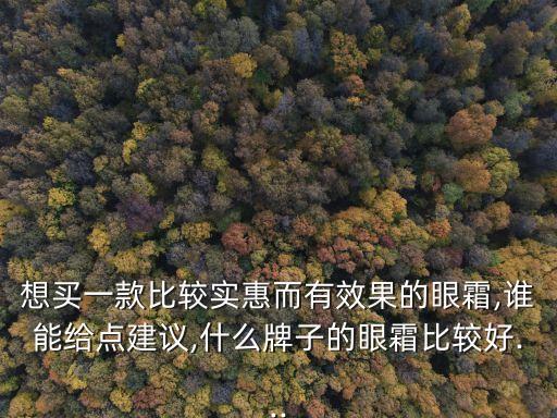 想买一款比较实惠而有效果的眼霜,谁能给点建议,什么牌子的眼霜比较好...