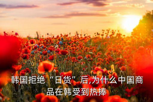韩国日本日用品中国市场如何,日本韩国豪华游轮旅游