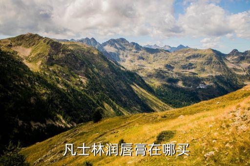  凡士林润唇膏在哪买