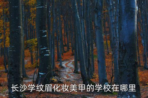 长沙哪个美甲店好,长沙哪里有美甲培训学校?一般去哪里?