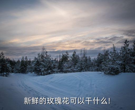 新鲜的玫瑰花可以干什么!
