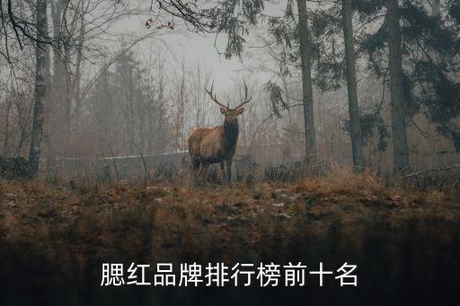 腮红品牌排行榜前十名