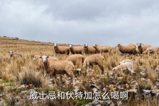 威士忌和伏特加怎么喝啊