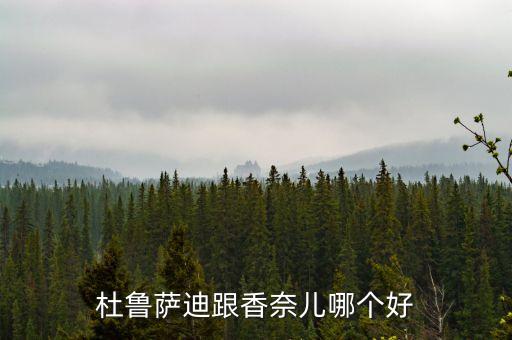 杜鲁萨迪跟香奈儿哪个好