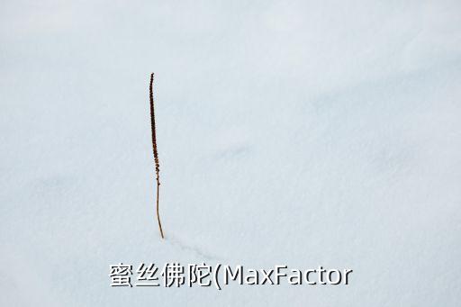 蜜丝佛陀(MaxFactor