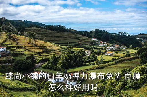 蝶尚小铺的山羊奶弹力瀑布免洗 面膜怎么样好用吗