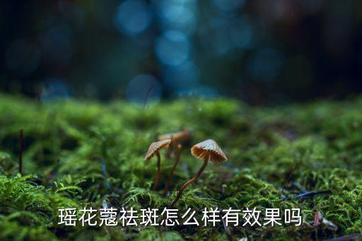 瑶花蔻祛斑怎么样有效果吗