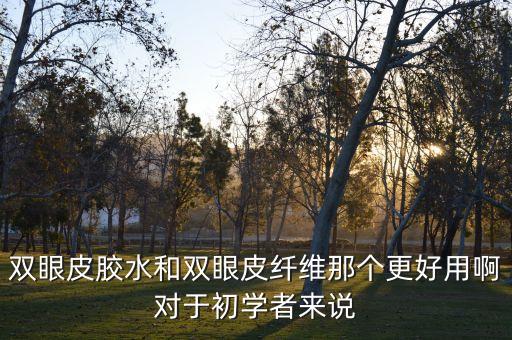 什么双眼皮胶水好用,双眼皮胶水好用么?