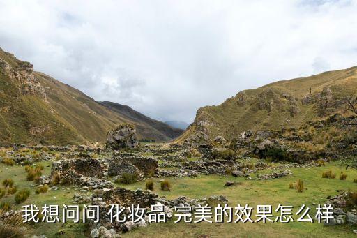 我想问问 化妆品 完美的效果怎么样