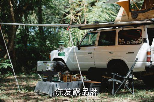 洗发露品牌