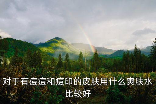 对于有痘痘和痘印的皮肤用什么爽肤水比较好