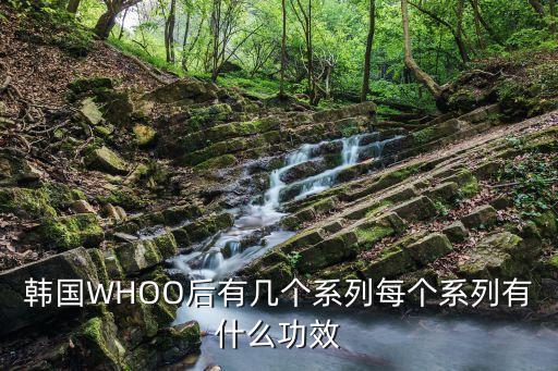 韩国WHOO后有几个系列每个系列有什么功效