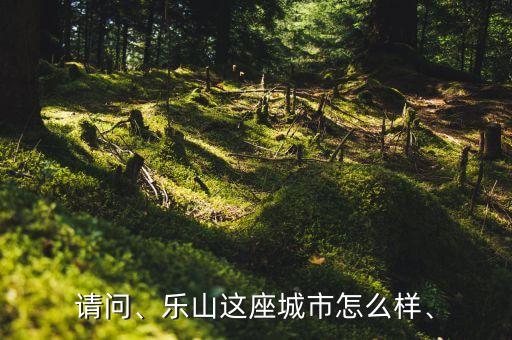 请问、乐山这座城市怎么样、