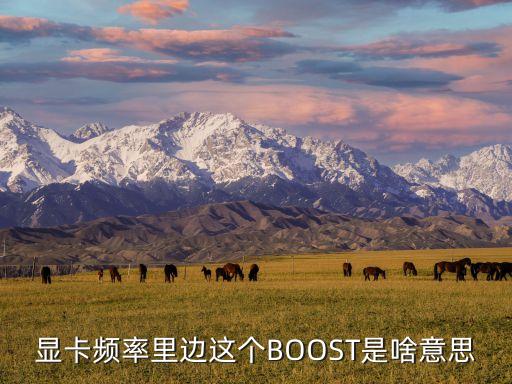 显卡频率里边这个BOOST是啥意思