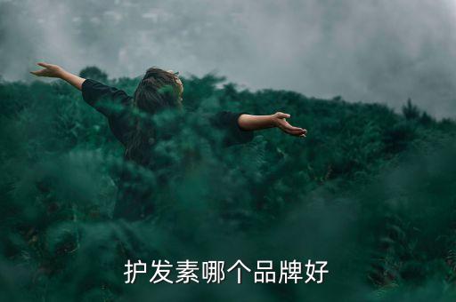 护发素哪个品牌好