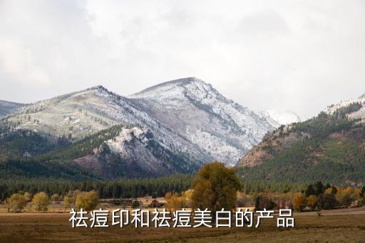 祛痘印和祛痘美白的产品