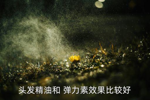 头发精油和 弹力素效果比较好