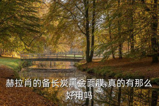 赫拉肖的备长炭黑金面膜,真的有那么好用吗