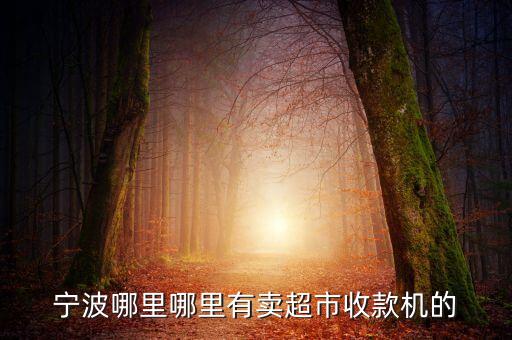 宁波哪里哪里有卖超市收款机的