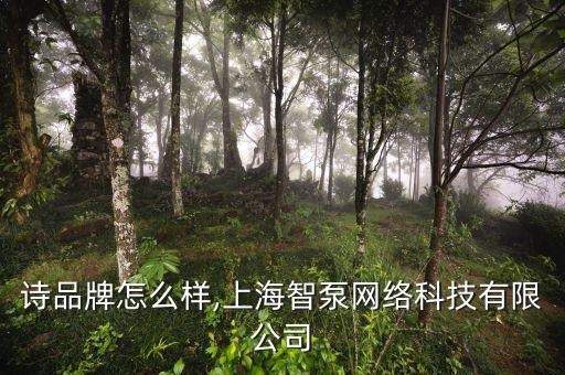 珍妮诗品牌怎么样,上海智泵网络科技有限公司