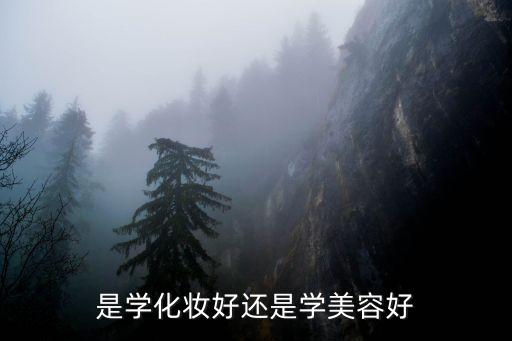 美发和化妆哪个行业好,美容和化妆哪个更好?