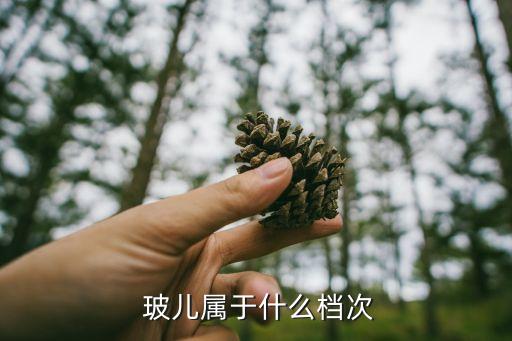  玻儿属于什么档次