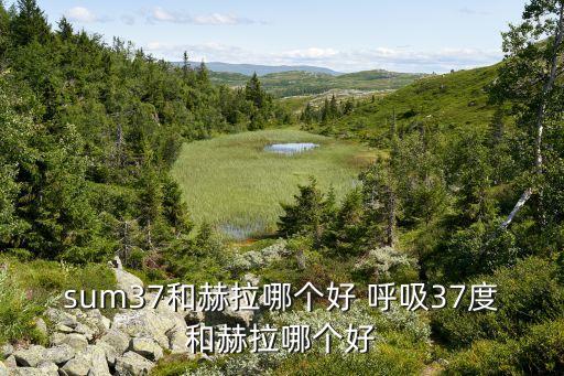 sum37和赫拉哪个好 呼吸37度和赫拉哪个好