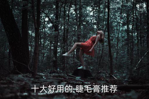 十大好用的 睫毛膏推荐