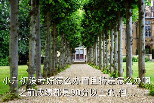 小升初没考好怎么办而且特差怎么办啊之前成绩都是90分以上的,但...