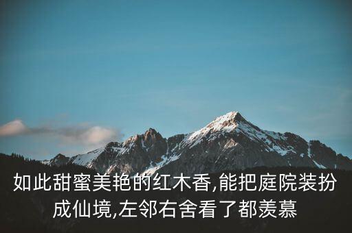 如此甜蜜美艳的红木香,能把庭院装扮成仙境,左邻右舍看了都羡慕