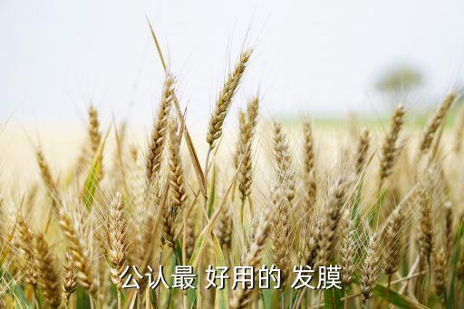 保湿发膜哪个牌子好用吗,lpp发膜哪个牌子好