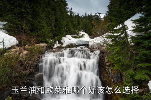 真正的玉兰油多少钱,网上卖的玉兰油很便宜真的吗?