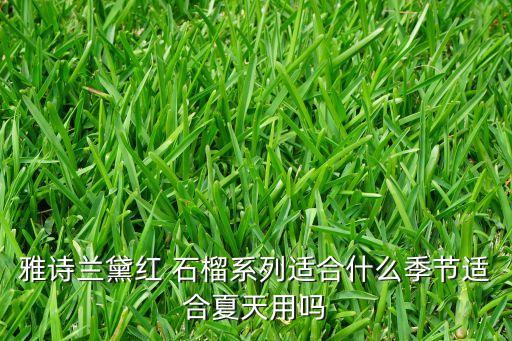 雅诗兰黛红 石榴系列适合什么季节适合夏天用吗