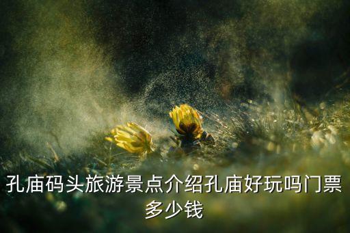 孔庙码头旅游景点介绍孔庙好玩吗门票多少钱