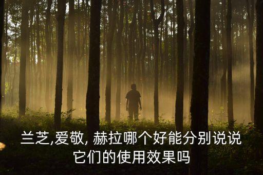 赫拉气垫bbspf50多少钱